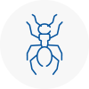 Ant Removals In Bognor Regis