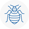 Bed Bug Extermination In Bognor Regis