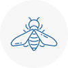 Bee Nest Removal Bognor Regis