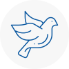 Bird Prevention Bognor Regis