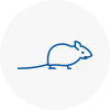 Mice Exterminators In Bognor Regis