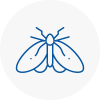 Moth Control Specialists In Bognor Regis