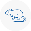 Rat Control Bognor Regis
