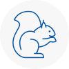 Bognor Regis Rodent Removals